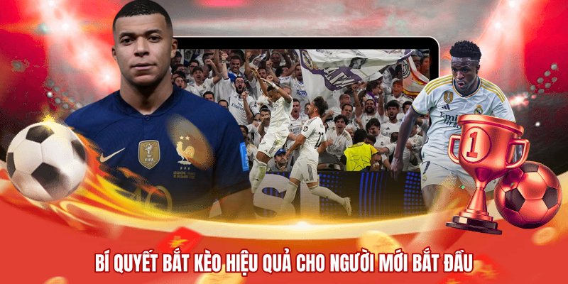 Bí quyết bắt kèo hiệu quả cho người mới bắt đầu