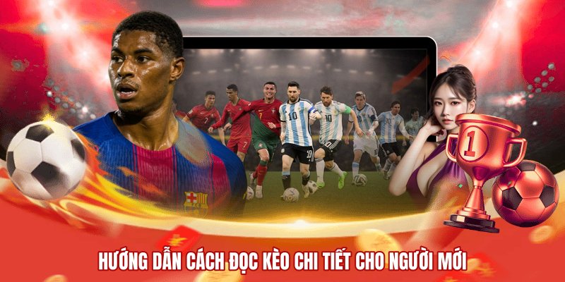 Hướng dẫn  chi tiết cách đọc kèo với từng loại