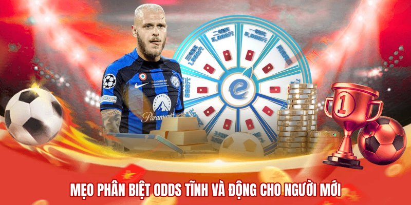 Mẹo phân biệt Odds tĩnh và động cho người mới