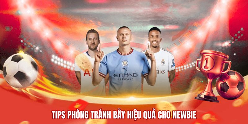Tips phòng tránh bẫy hiệu quả cho newbie